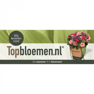 bloemsierkunst Florina logo