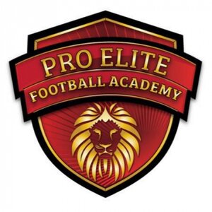 Pro Elite Football Academy logo