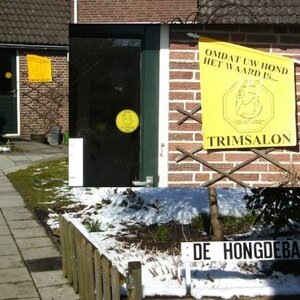 De Hongdebarbier image 1