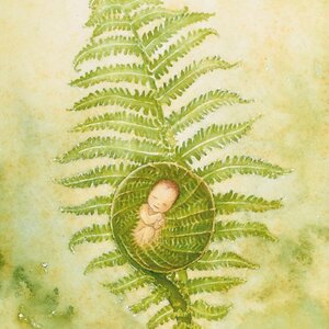 Aurora Productions image 3