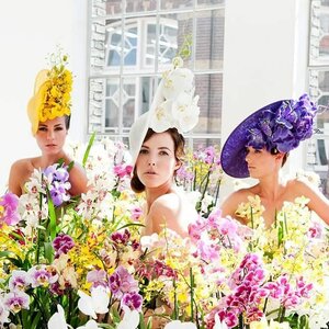 Groot in Groen image 3