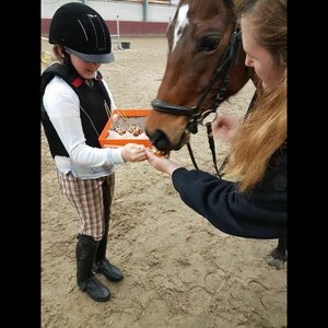 Manege Beukers image 5