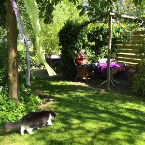 Theetuin Pronkjewail image 1