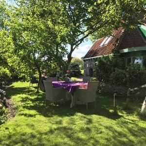 Theetuin Pronkjewail image 2