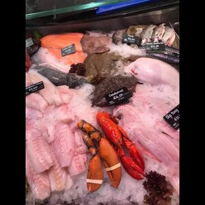 Viswinkel Grote Beer image 4