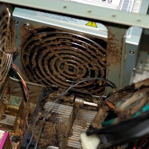 Green Mill pc image 1