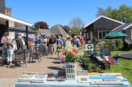 Plantenmarkt bij Rundveemuseum in Aartswoud op zondag 1 mei