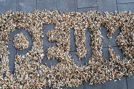 Schoon Westfriesland in actie voor PeukMeuk 2022.