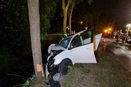Bestuurder onder invloed crasht tegen boom in Wognum