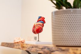 NuevoCare méér dan alleen een huisartspraktijk