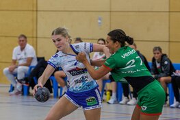 SEW in eigen huis onderuit tegen VELO