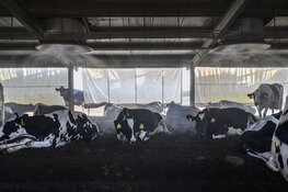 Food for Thought: Het Scheepvaartmuseum opent tentoonstelling over de verborgen wereld achter ons voedsel