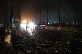 Auto ramt boom in Wervershoof, bestuurder gewond
