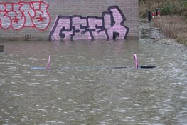 IJsselmeer zet Nesbos onder water