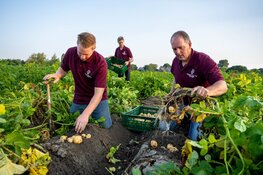 Opperdoezer Ronde organiseert oogstfeest ter lancering van het nieuwe seizoen