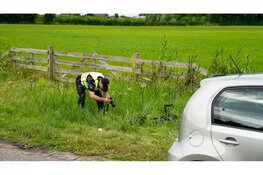 Fietser overleden na aanrijding met auto, bestuurder aangehouden
