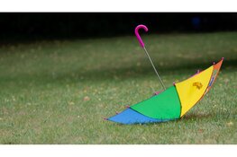 Zomer kent kleine opleving deze week, daarna weer wisselvalliger