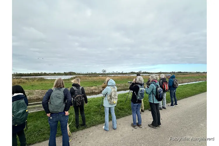 Veel vogels vliegen over Twisk en Onderdijk