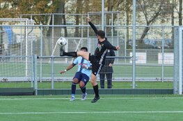 Zeperd voor SEW in Amsterdam