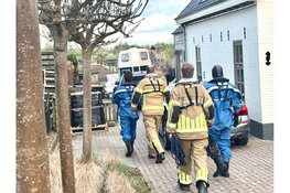 Brandweer haalt te water geraakt paard uit het water