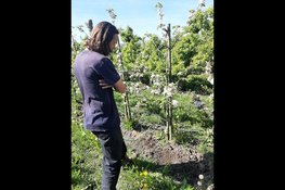 Gezond Westfriesland organiseert excursie en kookworkshop rond lokale biologische producten