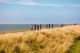 Zonnige dijkdag: ruim 1.600 fietsers genieten van jubileumeditie van de Ronde van de Westfriese Omringdijk