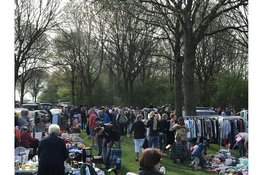 Kofferbakmarkt Wervershoof: gezellig struinen tussen de leukste vondsten