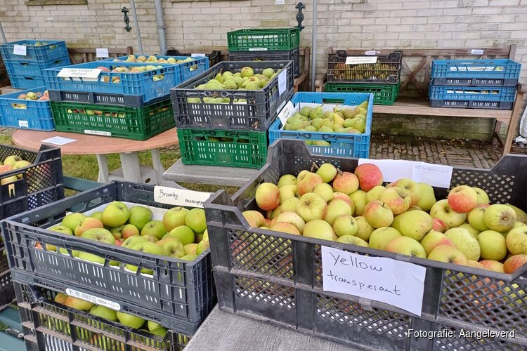 Zondagmiddag 20 september uniek fruit uit eeuwenoude boomgaard museumboerderij Welgelegen te koop