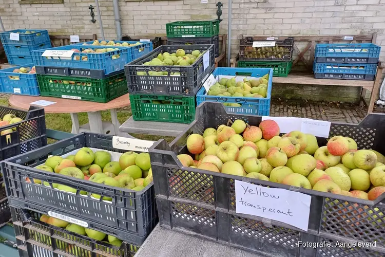 Zondagmiddag 20 september uniek fruit uit eeuwenoude boomgaard museumboerderij Welgelegen te koop