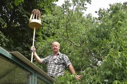 Bijendag bij imker Henk