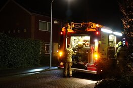 Oplettende buurtbewoner blust brand coniferenhaag