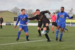 SEW verplettert DWOW