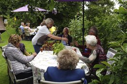 20% korting HIGH TEA bij Theetuin & Atelier The Twins Benningbroek