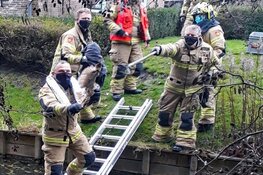 Ransuil gered door brandweer