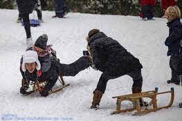 Winterse zondag in beeld