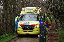 Traumahelikopter opgeroepen in Hauwert