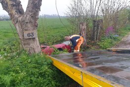 Auto belandt in sloot op Brakeweg in Medemblik