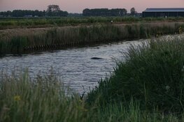 Auto te water in Midwoud, ambulance komt vast te zitten