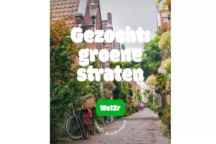 Groene Straten gezocht