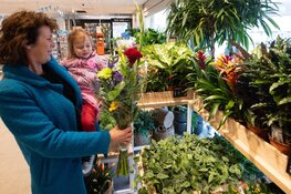 Nieuwe Albert Heijn Wervershoof verrast met vers en gemak
