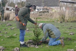 500 bomen geplant tijdens boomplantdag bij de Groote Vliet