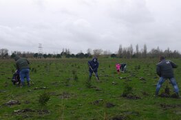 500 bomen geplant tijdens boomplantdag bij de Groote Vliet